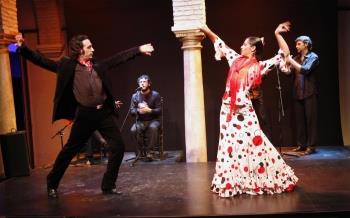 Museo del Baile Flamenco Bookings